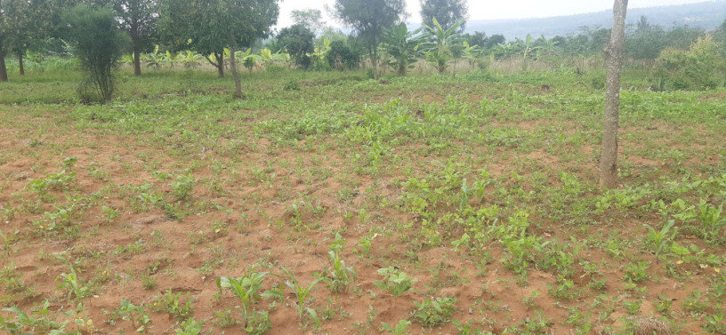 residential-land-for-sale-in-bugesera-near-airport-of-rwanda-big-0