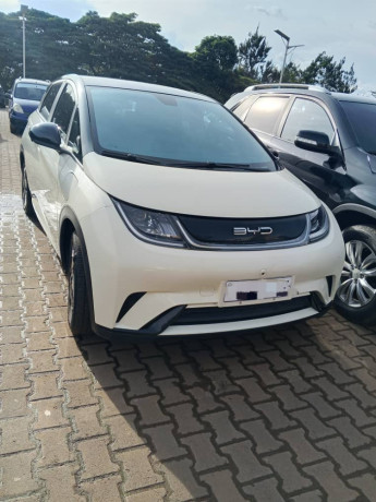 byd-big-3