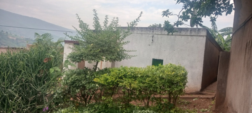 house-for-sale-big-0