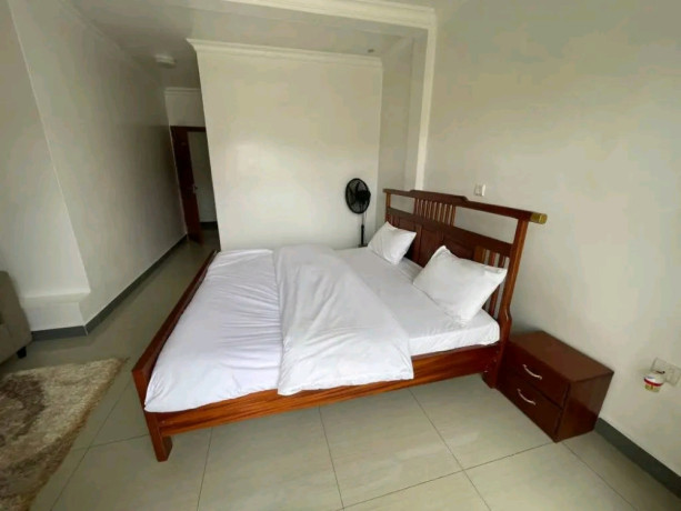 nyarutarama-fully-furnished-3bedrooms-house-for-rent-at-1000-in-good-location-big-14