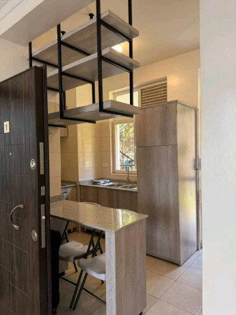 bk-06-kagugu-very-beautiful-full-furnished-apartment-for-rent-big-2