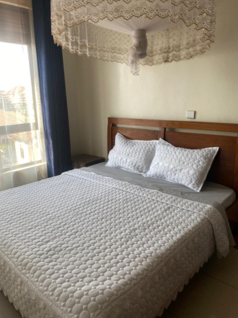 kigali-furnished-apartment-for-rent-in-kagarama-big-6