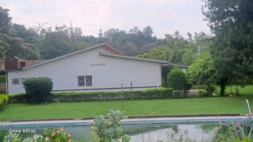 kigali-pool-house-available-for-rent-in-kiyovu-big-0