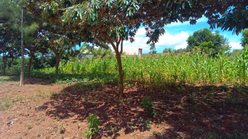 large-plot-for-sale-in-bugesera-big-4