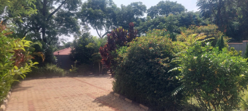 kigali-house-for-rent-in-kiyovu-near-national-bank-big-3