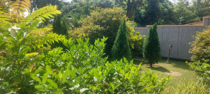 kigali-house-for-rent-in-kiyovu-near-national-bank-big-1