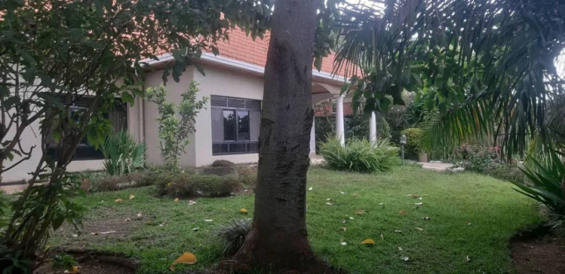 kigali-pool-house-available-for-rent-in-kacyiru-big-1