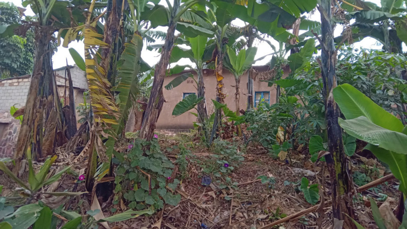 kigali-land-for-sale-in-nyamirambo-big-7