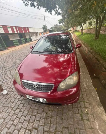 sports-corolla-big-1