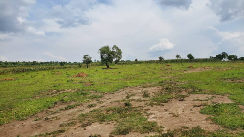 karangazi-big-land-for-sale-in-nyagatare-big-1