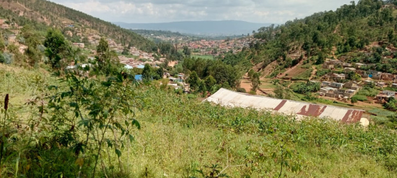 bumbogo-big-1