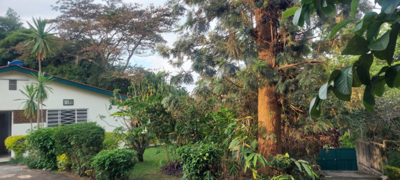 semi-furnished-house-available-for-rent-at-kiyovu-big-2