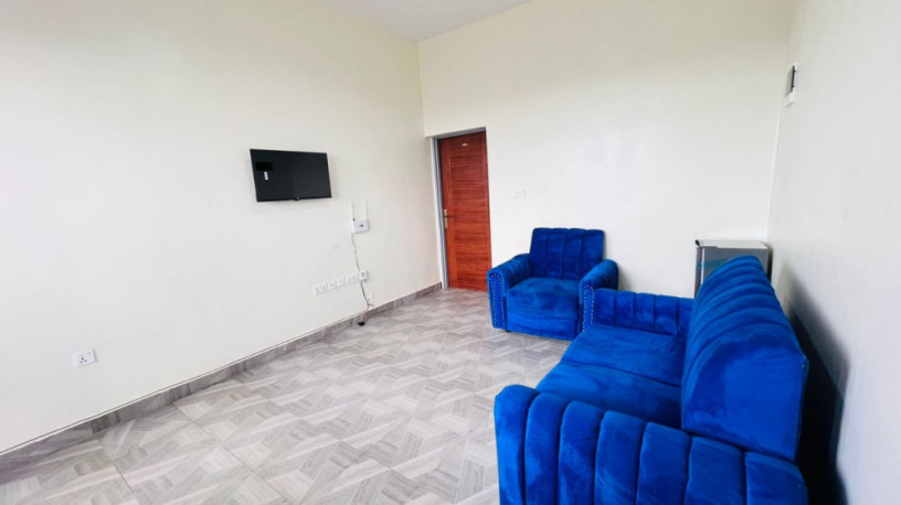 remera-400k-new-1bedroom-furnished-apartment-for-rent-big-0