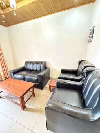 remera-fully-furnished-apartment-for-rent-in-kigali-big-6