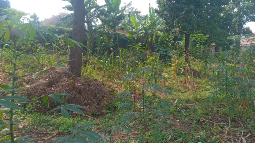 kigali-plot-for-sale-in-kinyinya-big-1