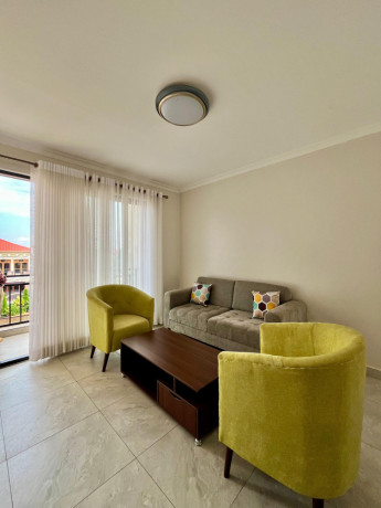 kigali-fully-furnished-apartment-for-rent-in-rusororo-big-6
