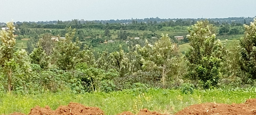 ibibanza-bigurishwa-rwamagana-fumbwe-big-2