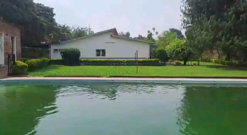 kigali-pool-house-available-for-rent-in-kiyovu-big-5