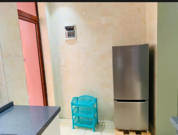 kibagabaga-nice-furnished-apartment-for-rent-in-kigali-big-5