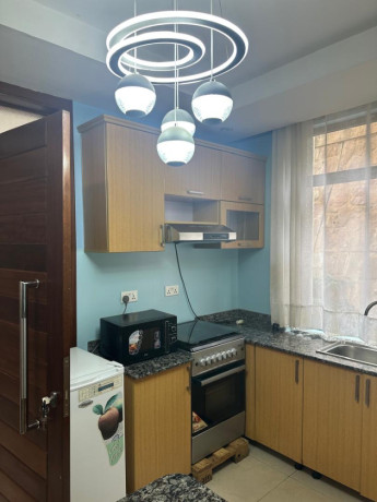 gacuriro-fully-furnished-apartment-for-rent-in-kigali-big-4