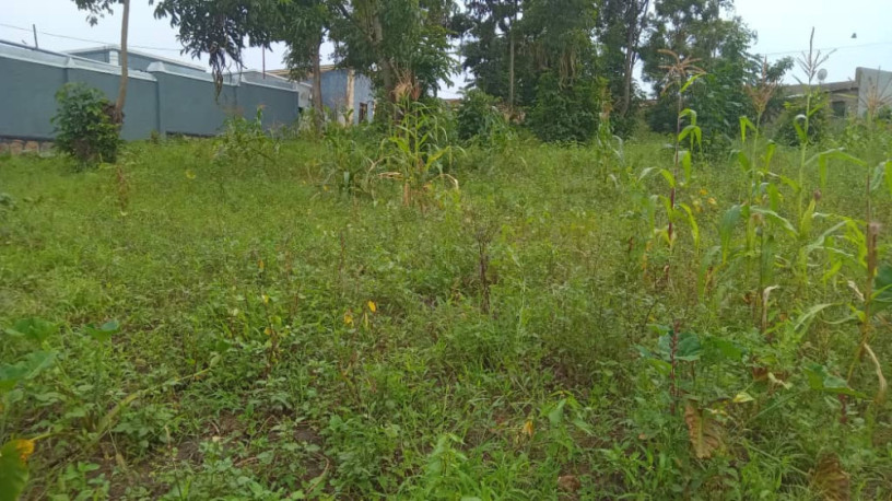 land-for-sale-in-batsinda-kagugu-big-8
