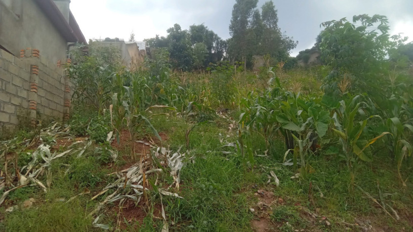 kigali-land-for-sale-in-gisozi-big-0