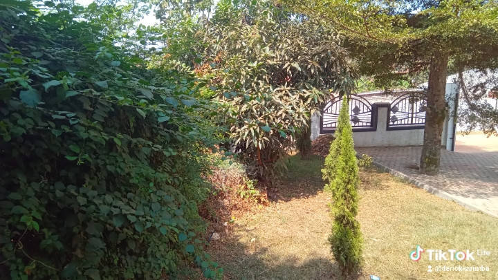 plot-for-sale-big-10