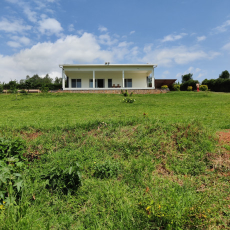 to-not-miss-out-big-2