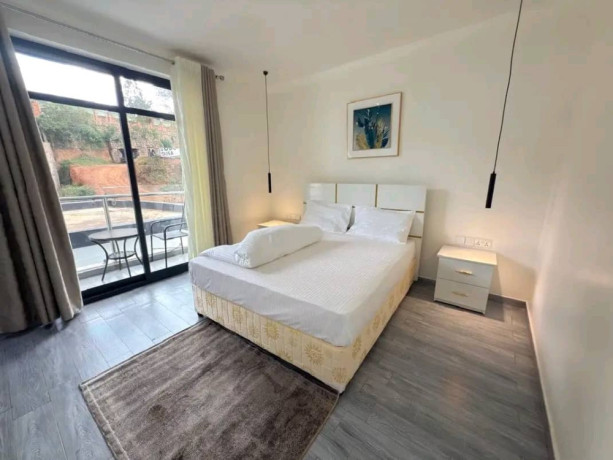 kacyiru-near-usa-embassy-1bed-1bath-furnished-apartment-for-rent-in-kigali-big-5