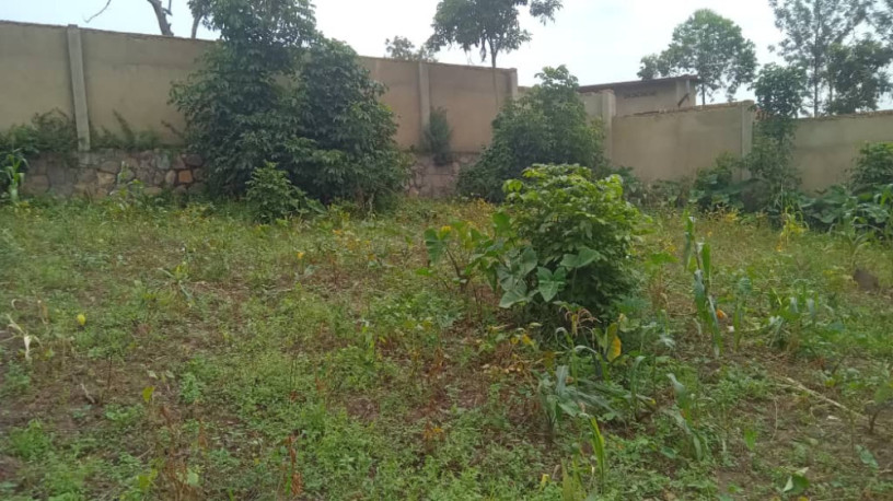land-for-sale-in-batsinda-kagugu-big-3