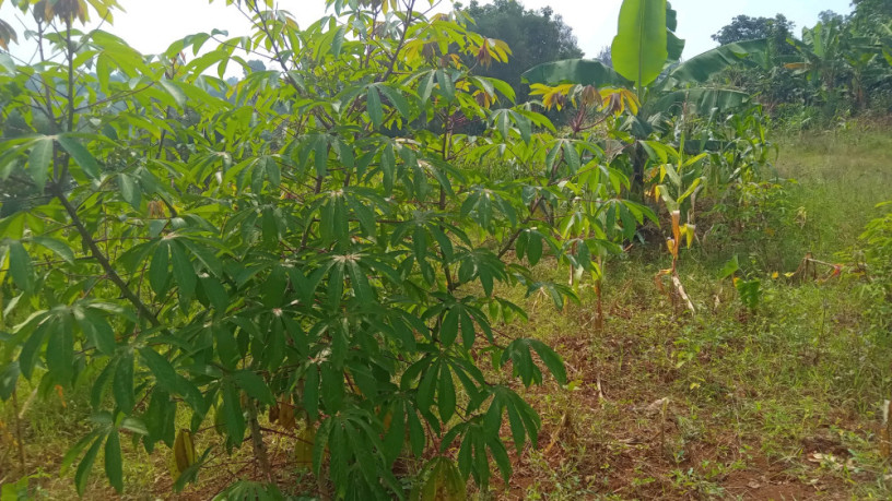 kigali-plot-for-sale-in-gahanga-kicukiro-big-7