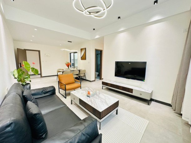 kiyovu-very-nice-luxurious-apartment-for-rent-in-kigali-big-4