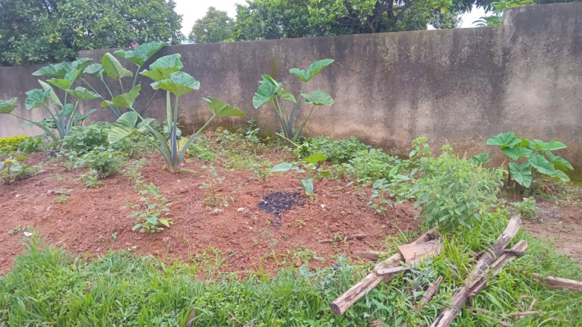 kigali-land-for-sale-in-rebero-big-6