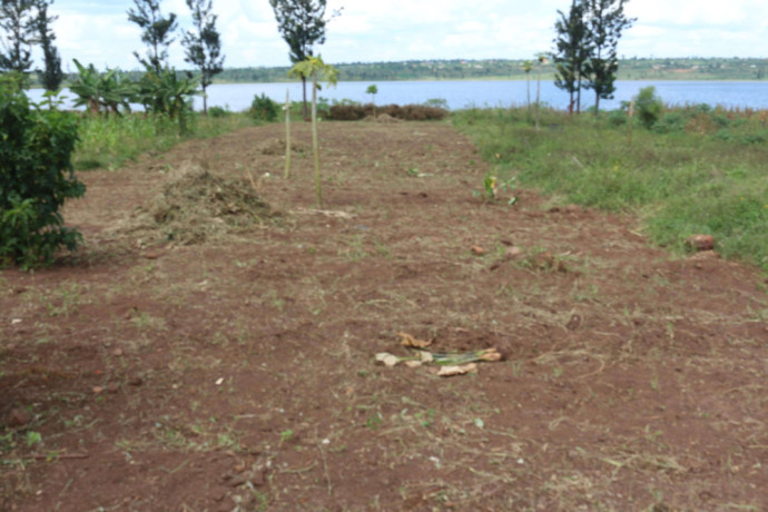 land-for-sale-in-bugesera-gashora-near-airport-of-rwanda-big-0