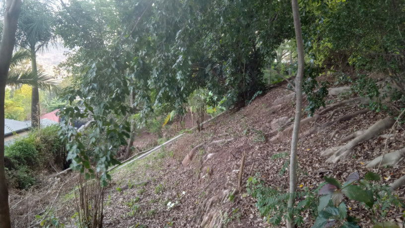 kigali-land-for-sale-in-kiyovu-big-0