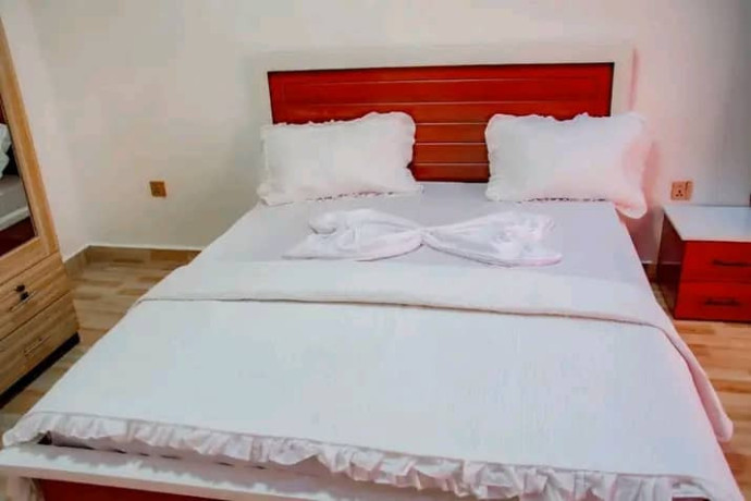 rebero-furnished-house-for-rent-big-8