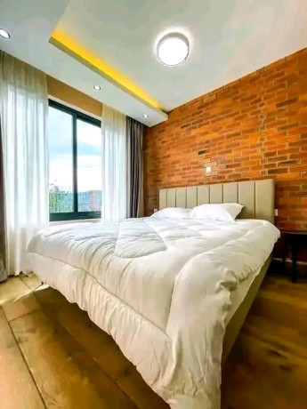 bs-64-very-nice-apartment-for-rent-in-nyamirambo-big-9