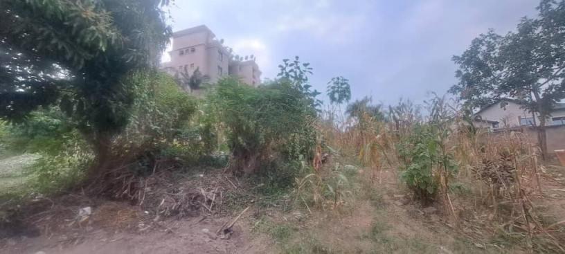 nyarutarama-plot-for-sale-big-1