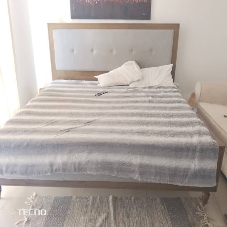 nyarutarama-furnished-house-for-rent-in-kigali-big-3