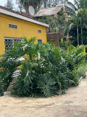 kigali-unfurnished-house-for-rent-in-kimihurura-big-7