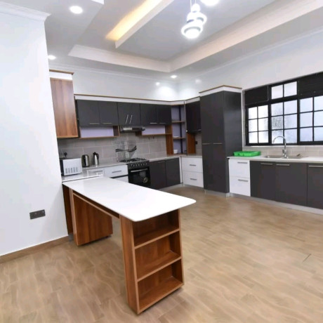 niboye-nice-fully-furnished-apartment-for-rent-in-kigali-big-2
