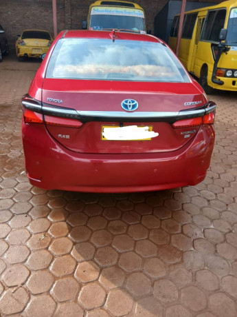 toyota-corolla-big-2