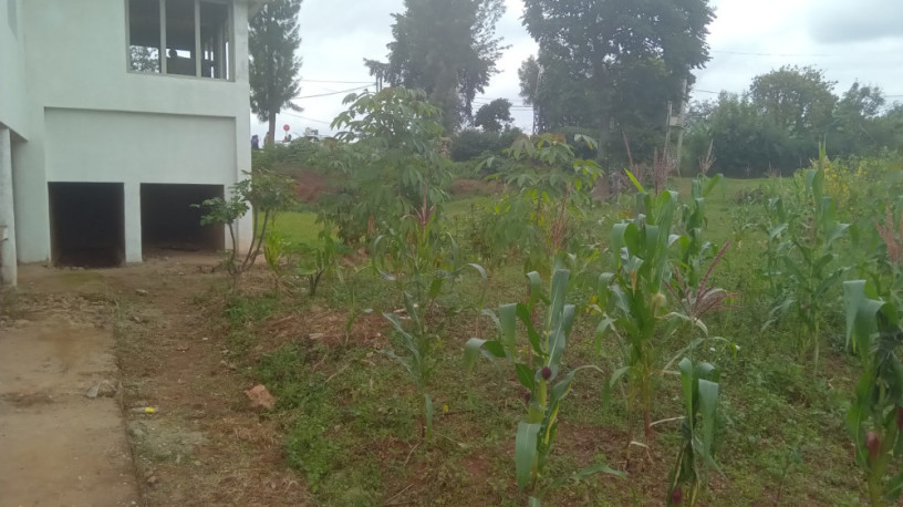 large-plot-for-sale-big-6