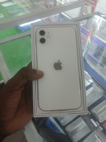 iphone-11-big-1