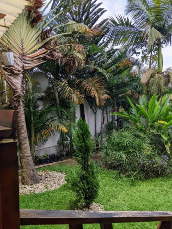 fully-furnished-studio-apartment-for-rent-in-nyarutarama-big-0