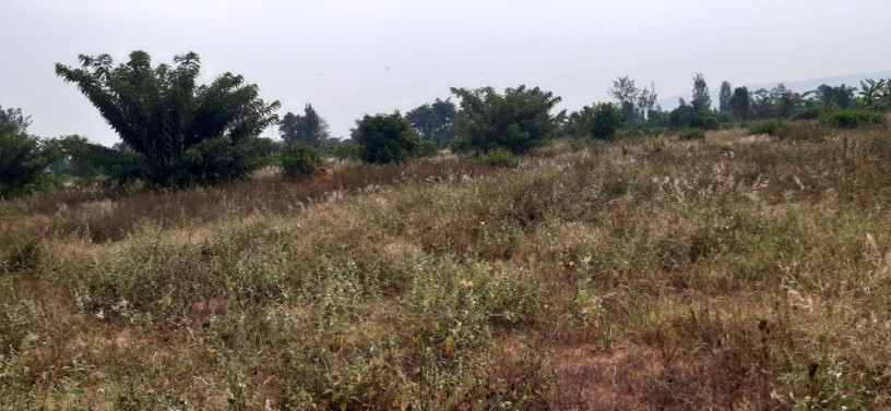 land-for-sale-in-bugesera-juru-near-airport-of-rwanda-hot-deal-big-1