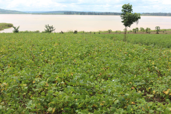 land-for-sale-in-bugesera-near-airport-access-on-lake-of-rwanda-hot-deal-big-1