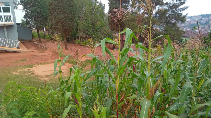 kigali-plot-for-sale-in-rebero-big-4