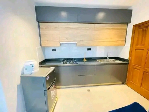 remera-furnished-apartment-for-rent-in-kigali-big-1