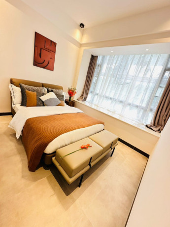 kiyovu-very-nice-luxurious-apartment-for-rent-in-kigali-big-9